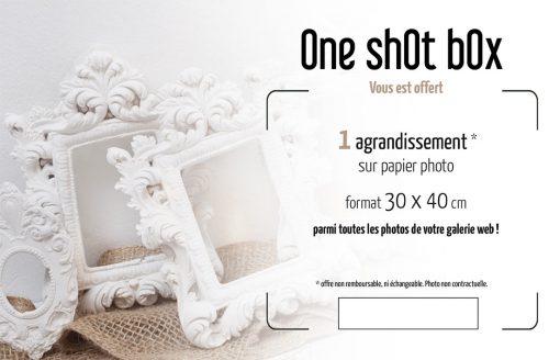 The Familiy Premium - Shooting à partir de 5 personnes – Image 3